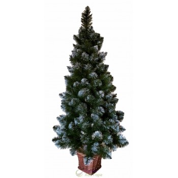 Ялина Європейська з інеєм 1,1 м у горщику з лози